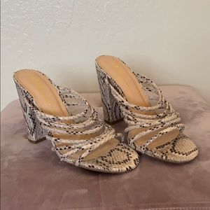 BRAND NEW MISS LOLA SNAKE PRINT HEELS